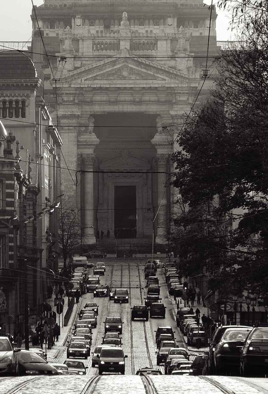 The highest court