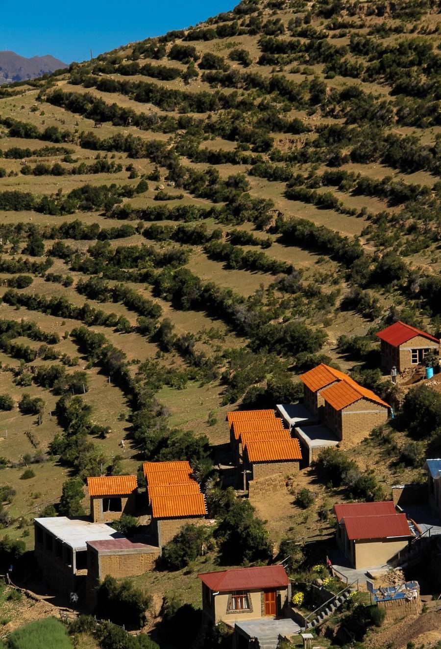 Entertainment, Bolivia