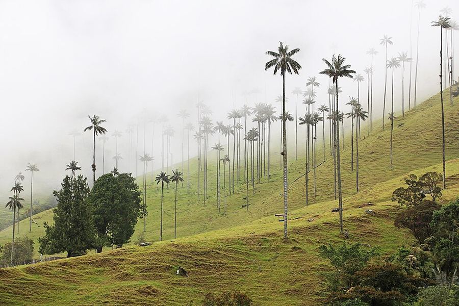 Land & Climate, Colombia