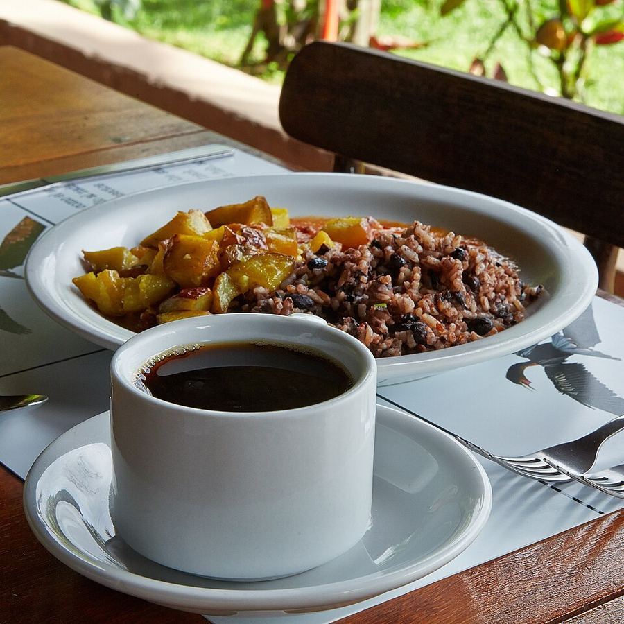 Cuisine & Misattributed Foods, Costa Rica