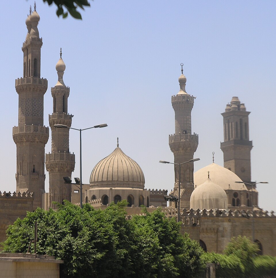Notable Educational Programs, Egypt