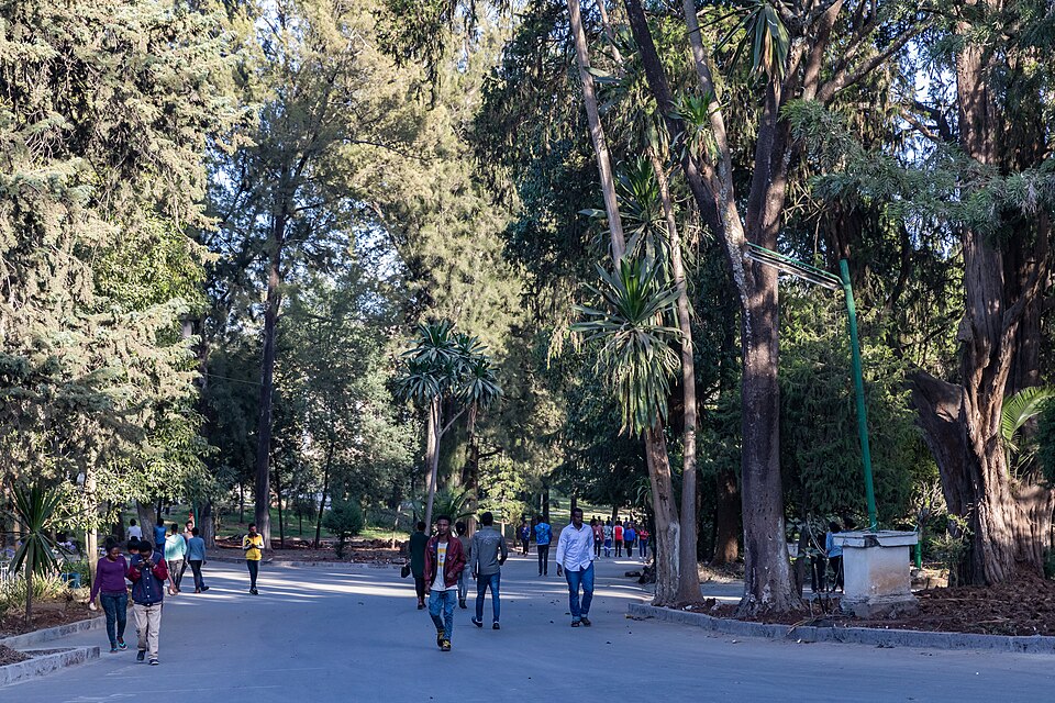 Notable Educational Programs, Ethiopia