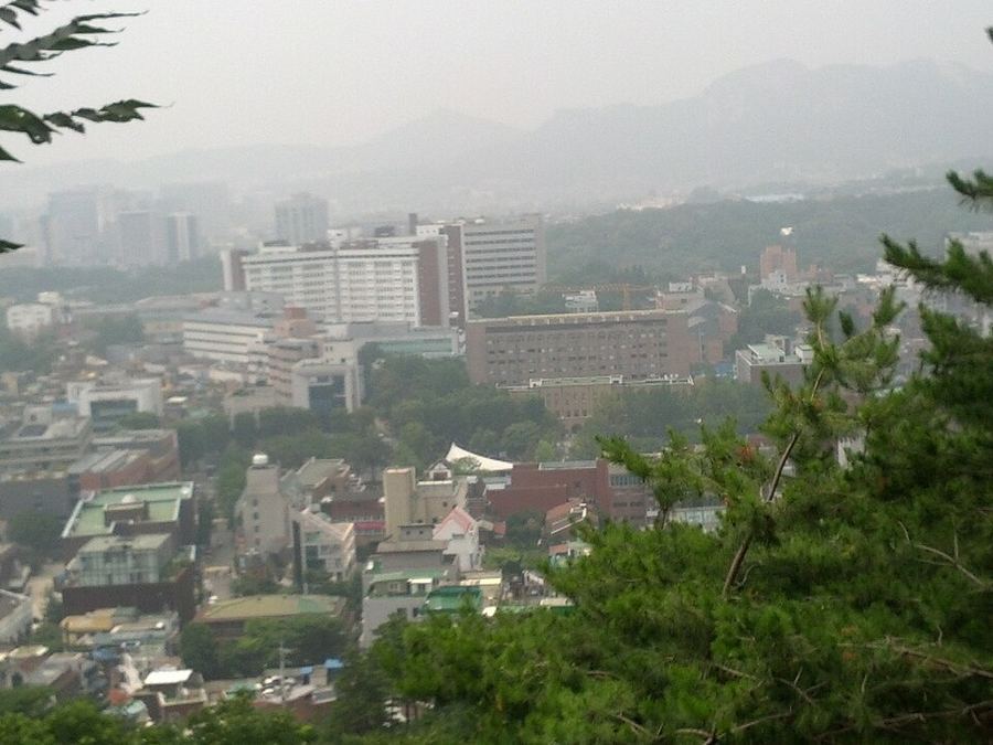 Notable Educational Programs, South Korea