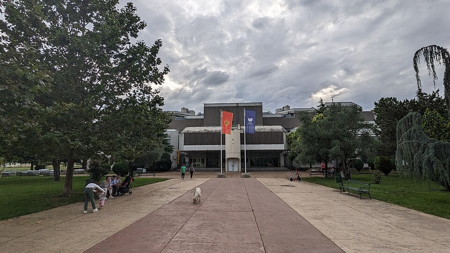 Notable Educational Programs, Montenegro