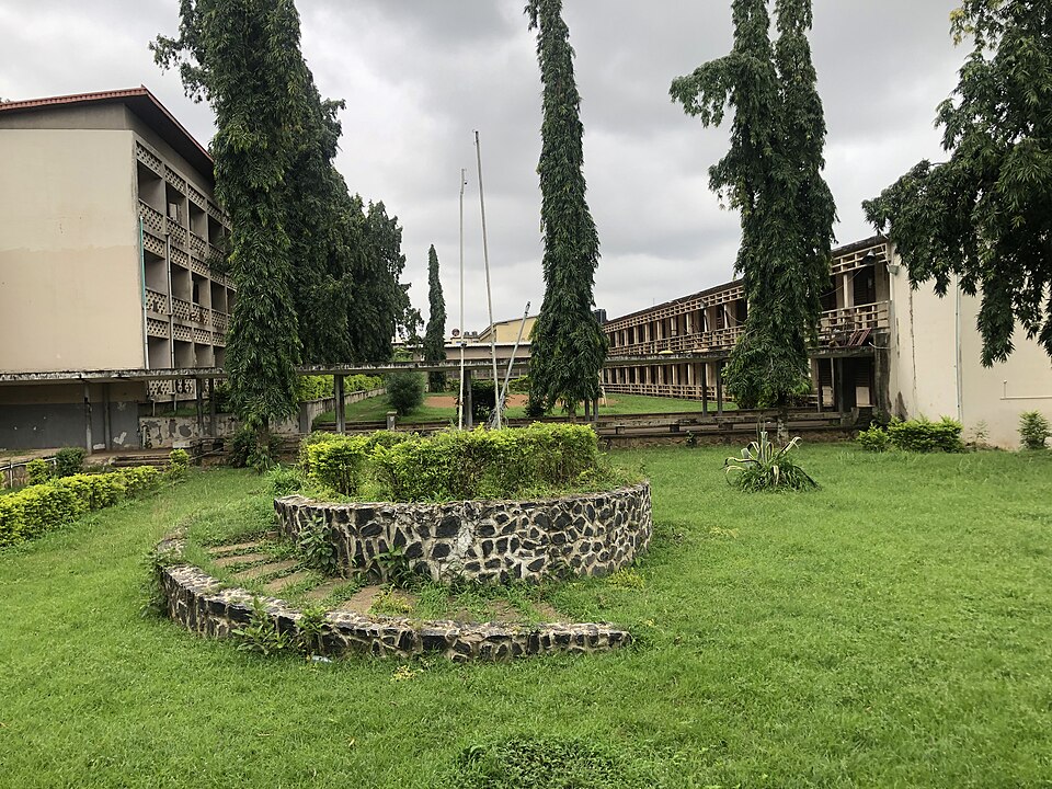 Notable Educational Programs, Nigeria