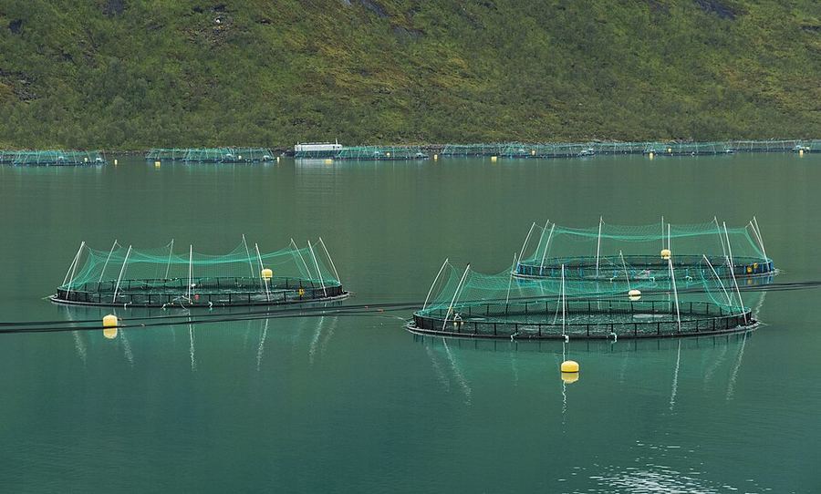 Inventions & Breakthroughs, Norway