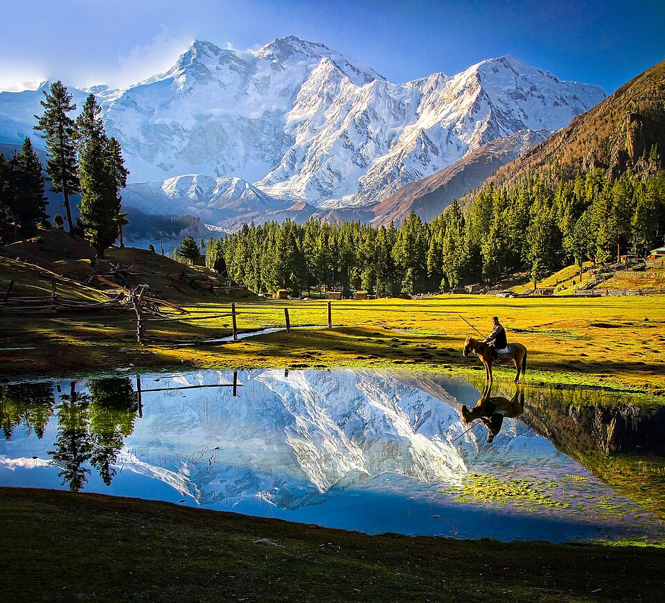 Entertainment, Pakistan
