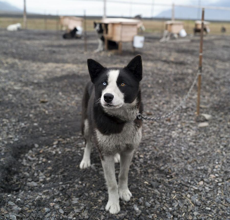 Entertainment, Svalbard and Jan Mayen