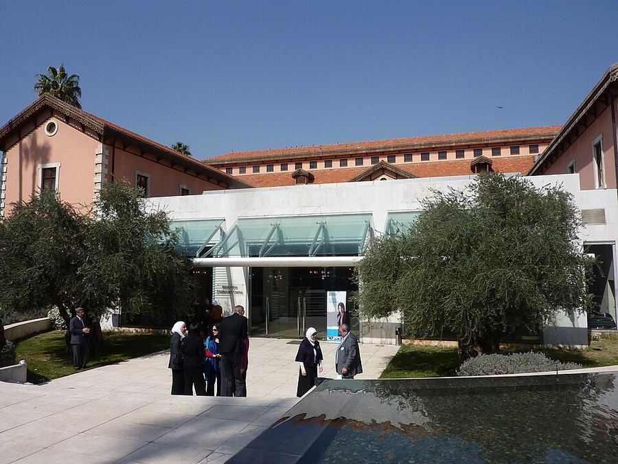 Notable Educational Programs, Syria