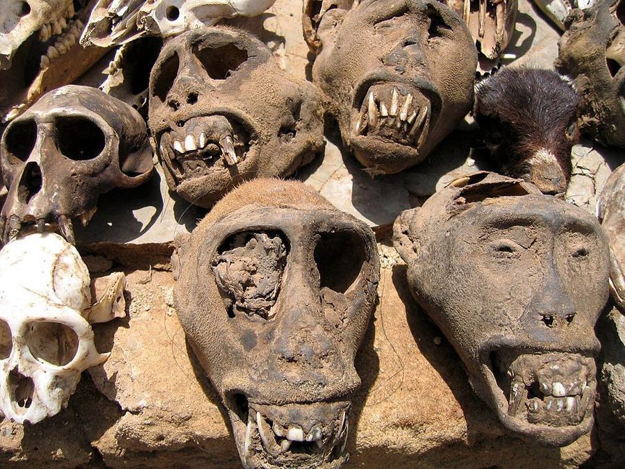 Culture, Togo