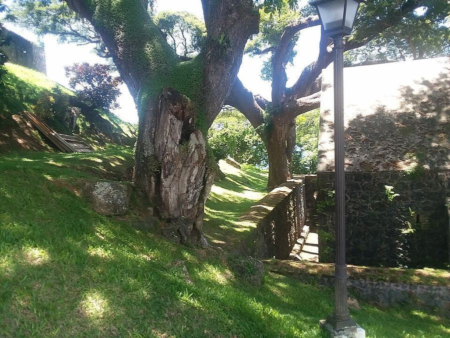 History, Trinidad and Tobago