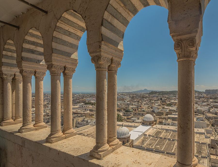 Notable Educational Programs, Tunisia