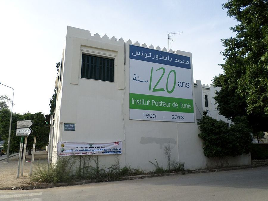 Science & Technology, Tunisia