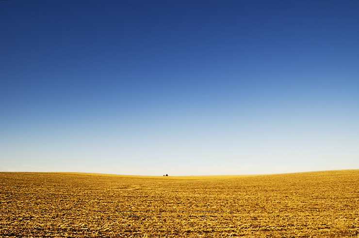 Great Plains prairie, United States