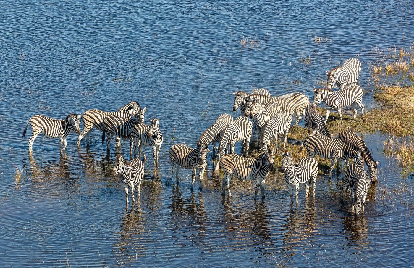 Okavango Delta Botswana, Botswana