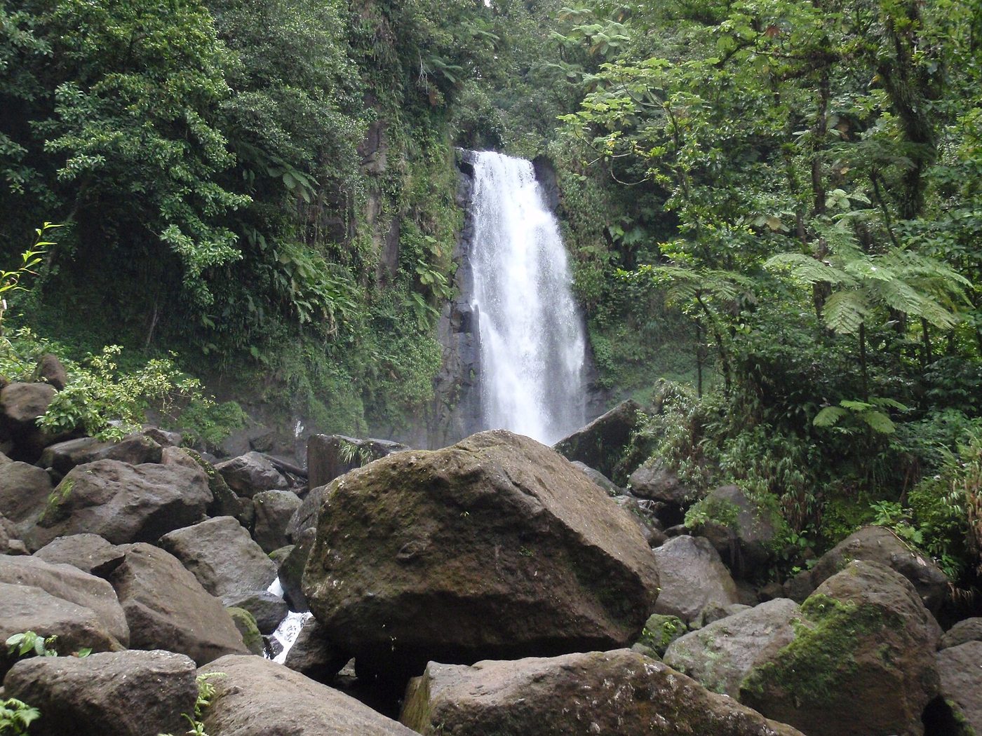 Trafalgar Falls at Morne Trois Pitons National Park, Dominica
