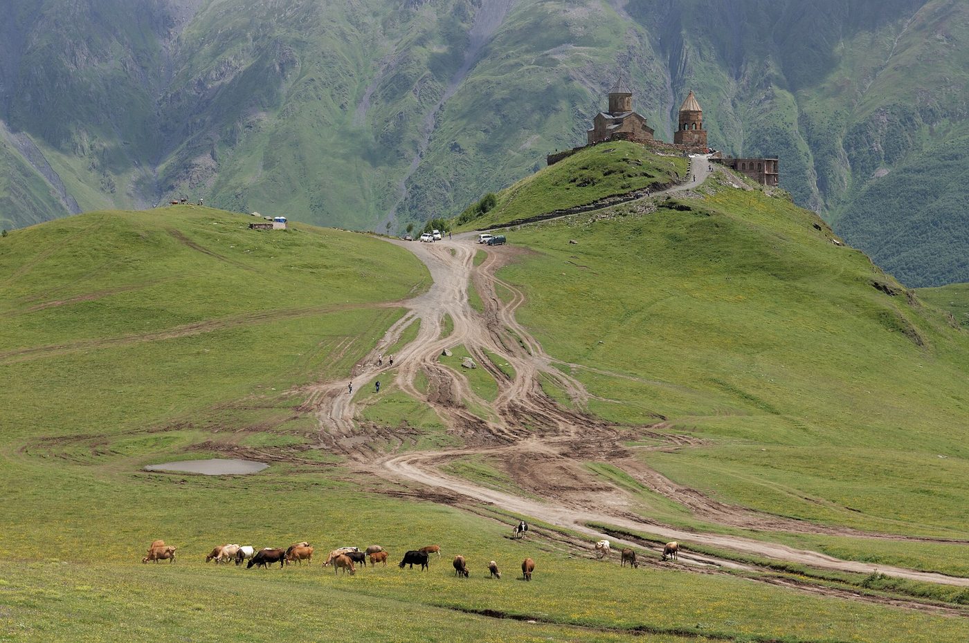 Gergeti Trinity Church, Mountain pasture, Georgia, Georgia