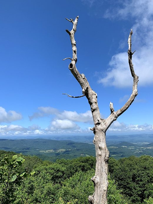 Skyline Drive 5, Papua New Guinea