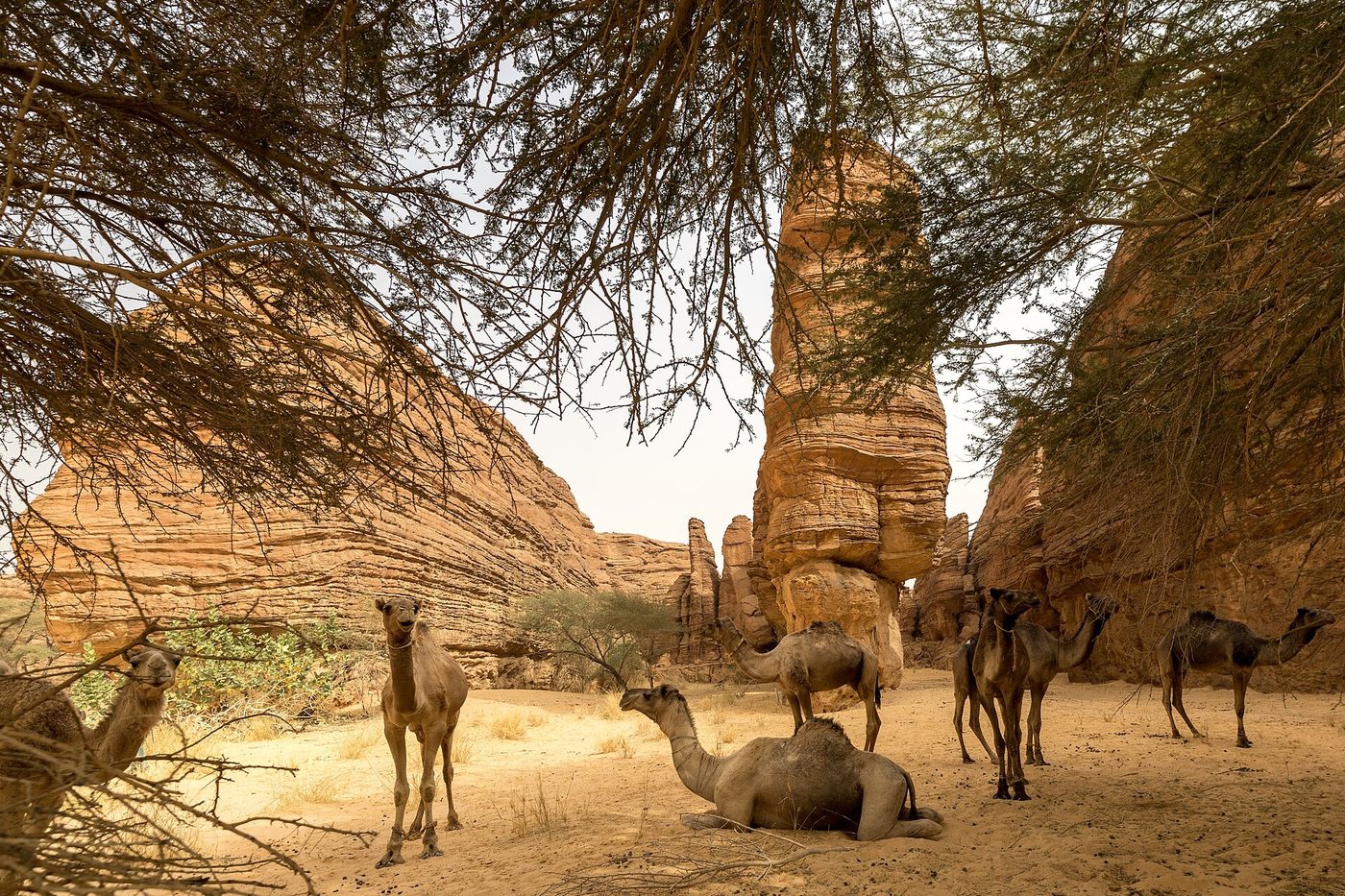 Ennedi Plateau Chad, Chad