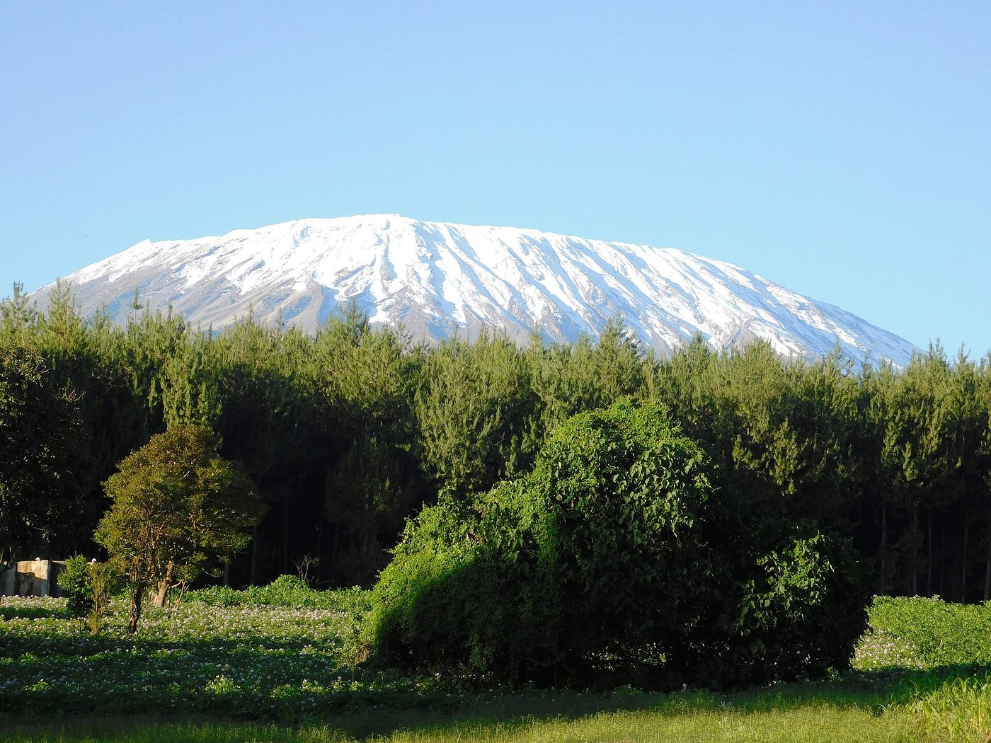 Mountain at the border of Kenya and Tanzania- Mount Kilimanjaro 10, Tanzania