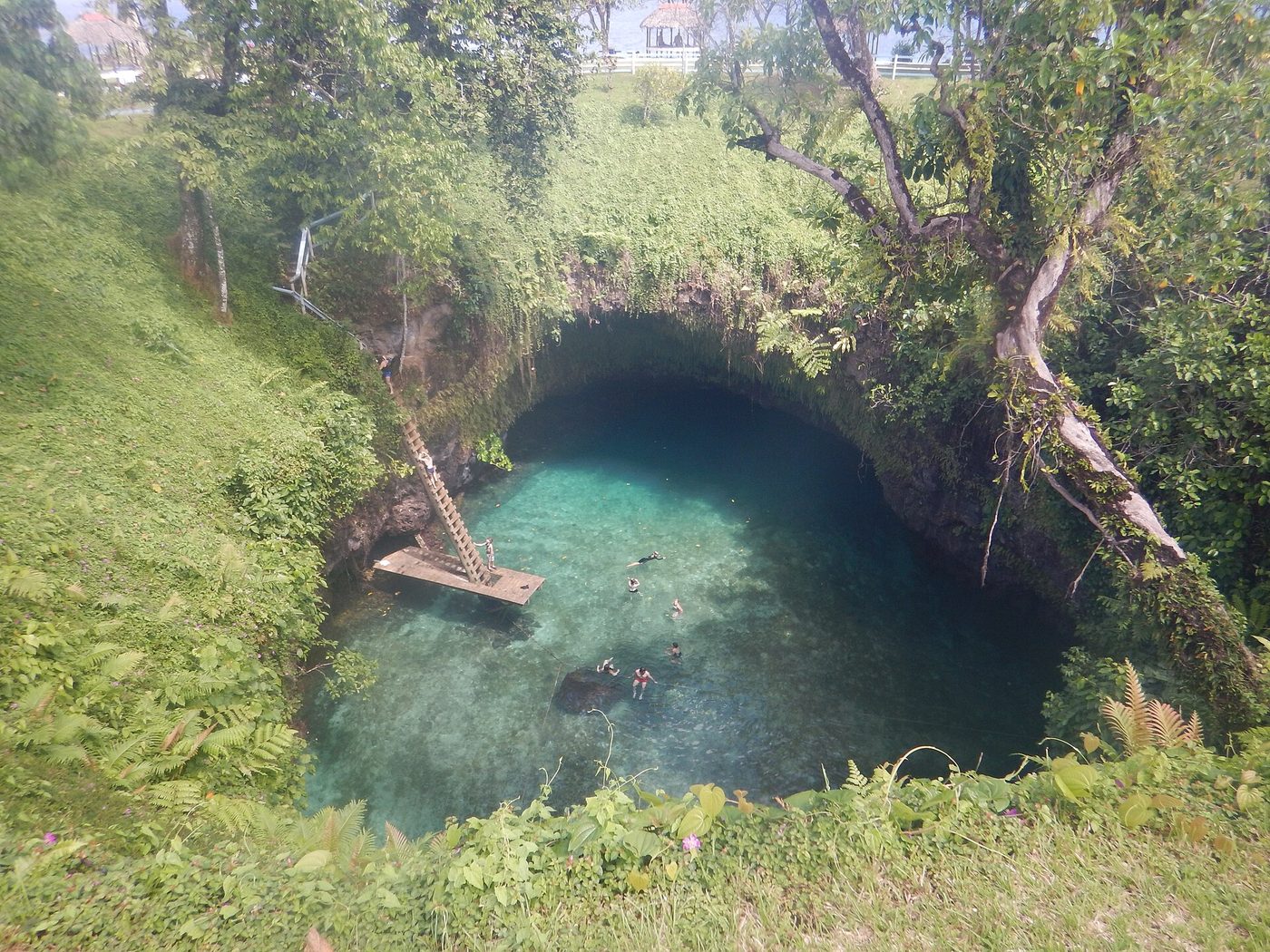 To Sua Ocean Trench, Upolu, Samoa - August 2016, Samoa